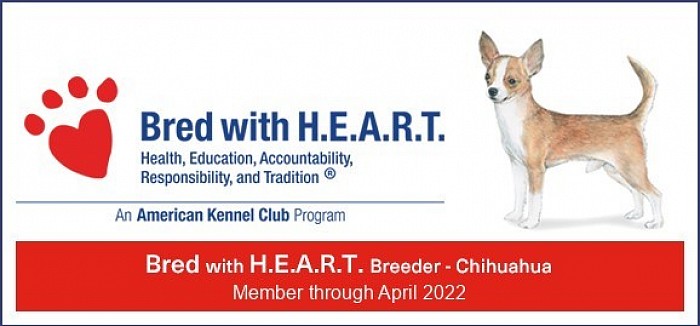 Bred with Heart Banner